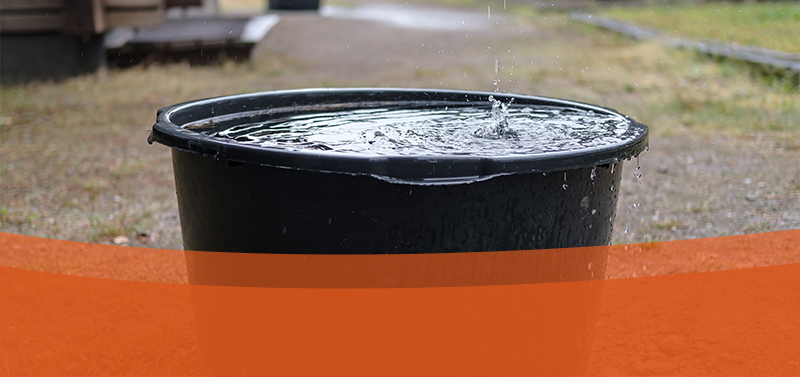 Regenwater opvangen en Afkoppelen Ontdek de Voordelen
